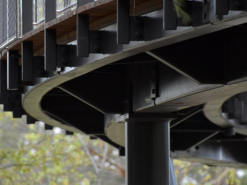 © Herbert H. and Grace A. Dow Foundation