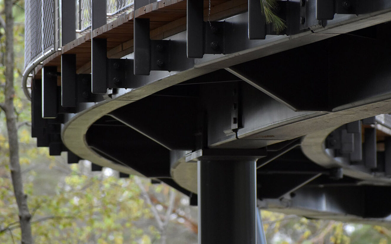 © Herbert H. and Grace A. Dow Foundation