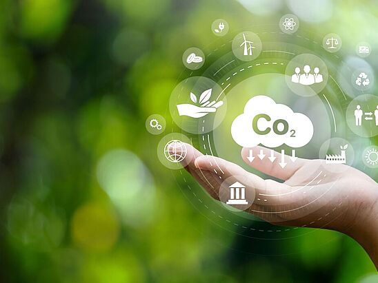 The earlier, the better: Automated analysis of the life cycle assessment of construction projects