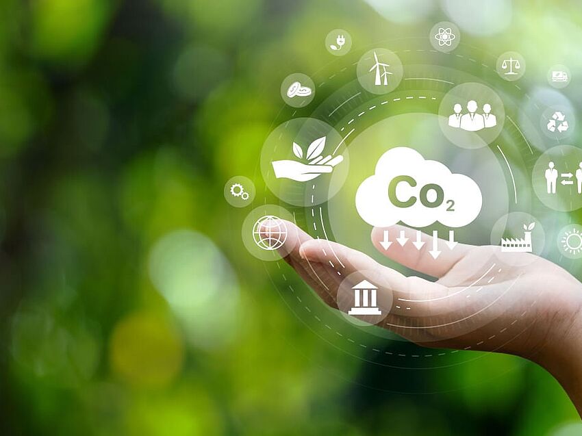 The earlier, the better: Automated analysis of the life cycle assessment of construction projects