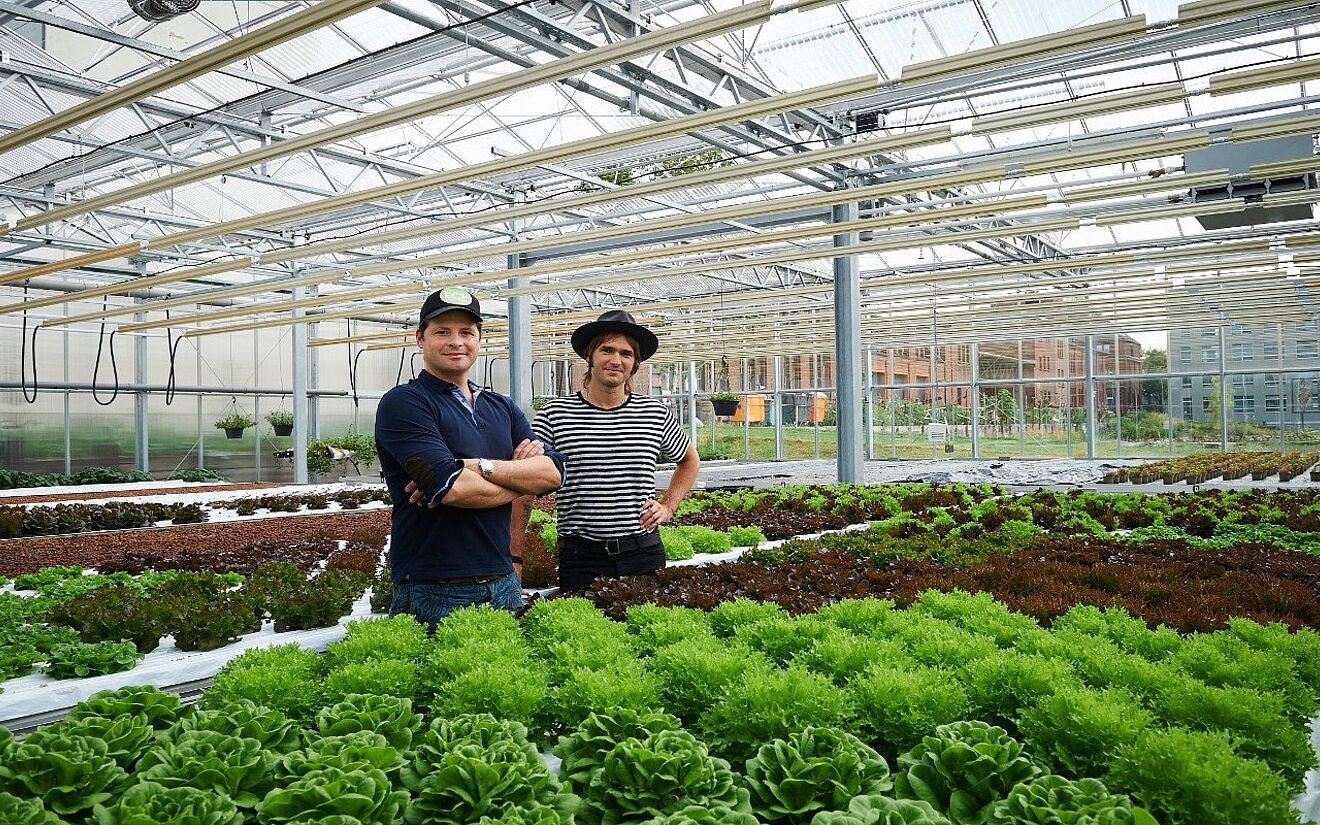 Gartenparadies Großstadt? 3 einzigartige Urban Farming-Projekte