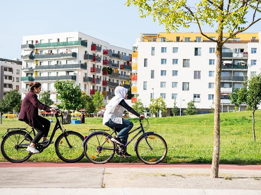 Vienna’s Sustainable City Within a City
