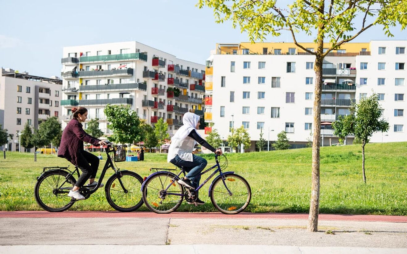 Vienna’s Sustainable City Within a City