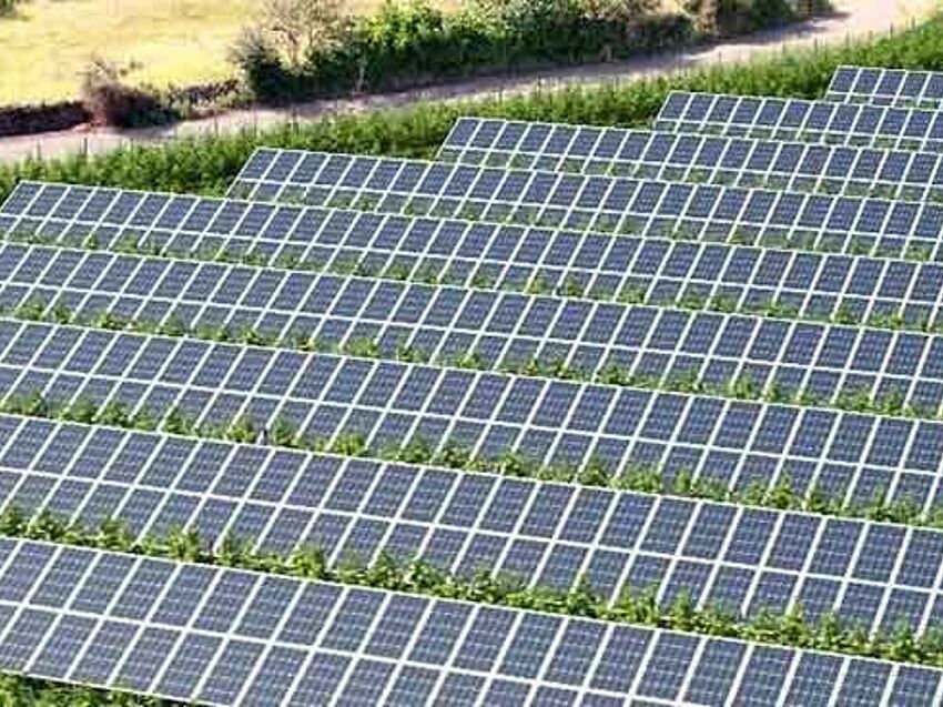 impianto agro – fotovoltaico