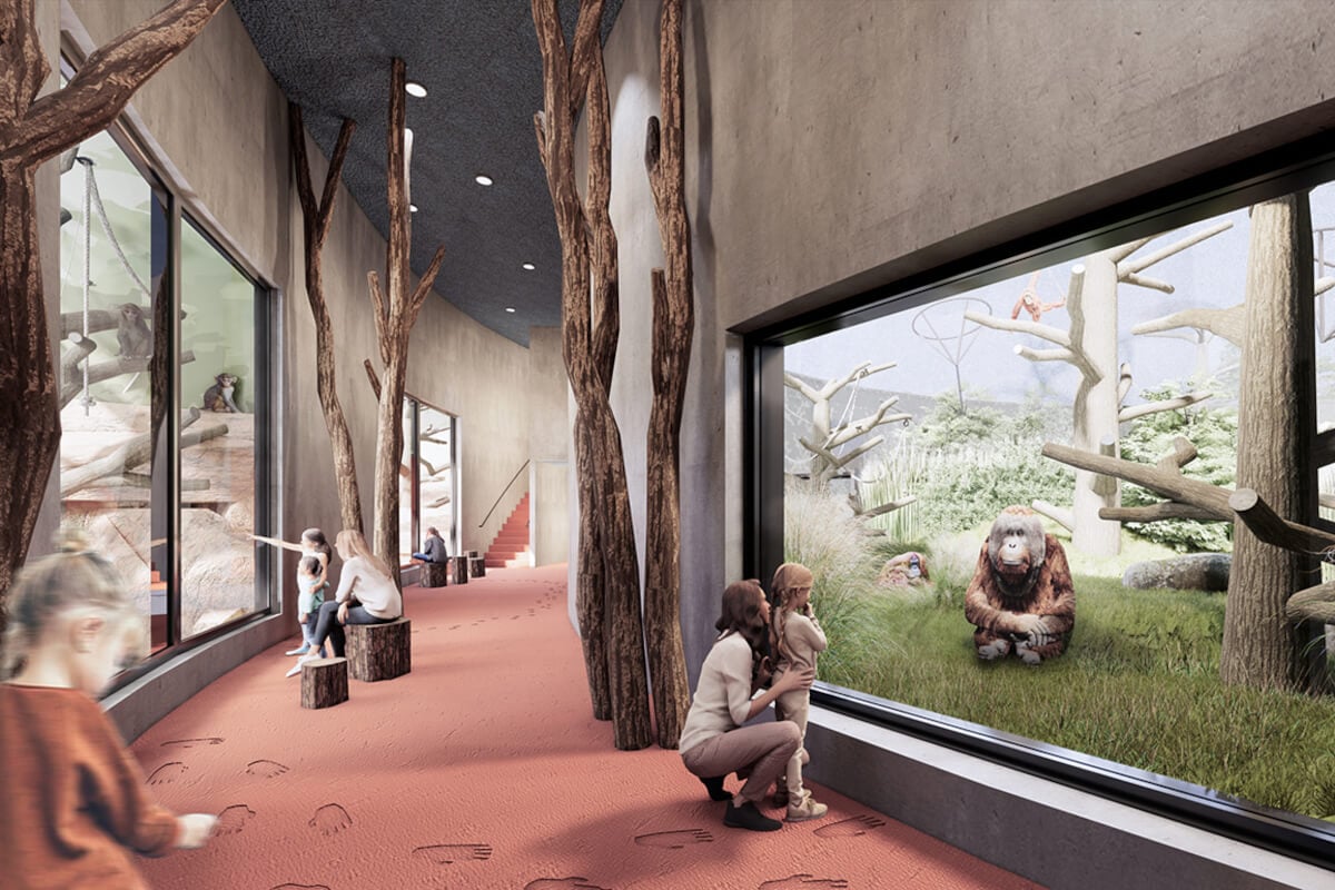 A new home for orangutans at Dresden Zoo